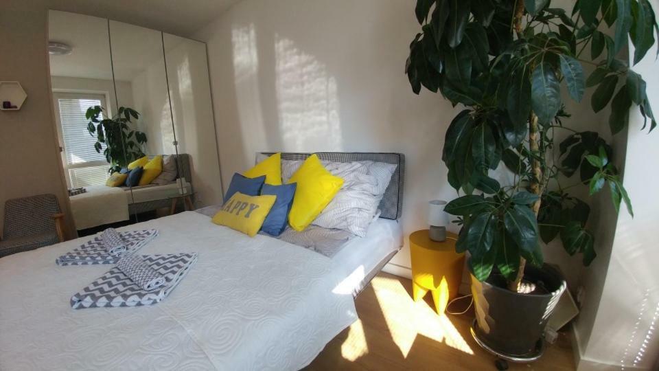 Apartament Centrum Августів Екстер'єр фото
